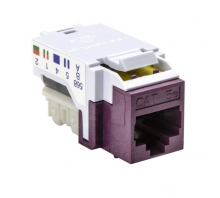 RJ45FC5E-VIO絵