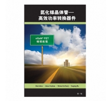 GAN FET BOOK SIMPLIFIED CHINESE VERSION絵