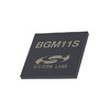 BGM11S22F256GA-V2