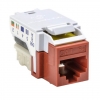 RJ45FC5E-RED